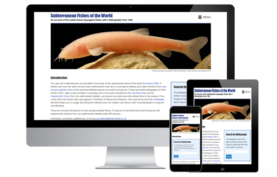 Subterranean Fishes of the World